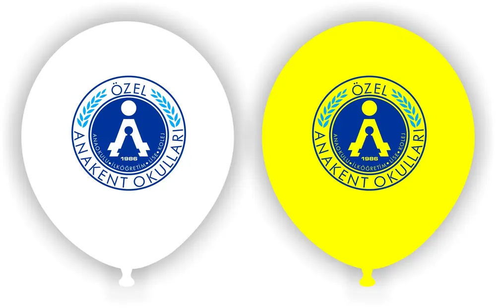 Baskılı Balon çalışması — Esin Balon İstanbul