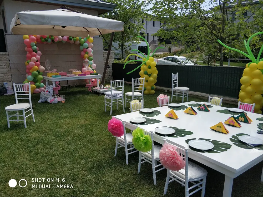 Doğum Günü Balon Süsleme örneği, profesyonel kurulum — Esin Balon