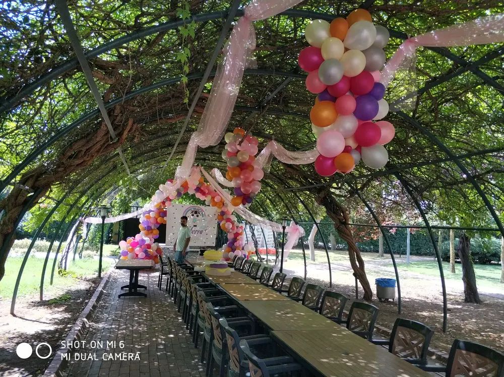 Doğum Günü Balon Süsleme örneği, profesyonel kurulum — Esin Balon